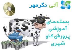 بسته های آموزشی پرورش گاو