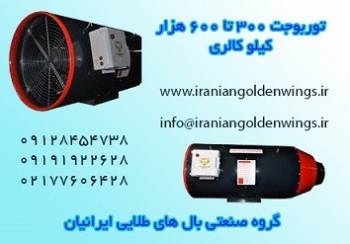 شرکت بالهای طلایی ایرانیان