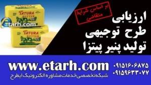 ارزیابی طرح پنیر پیتزا