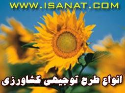 ارائه طرح توجیهی پرورش بلدرچین www.isanat.com