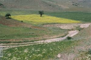 مشاور املاک ایران زمین سیاهکل