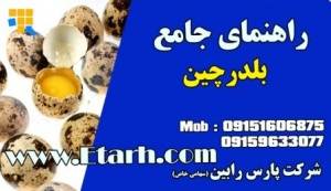 راهنمای جامع پرورش بلدرچین + طرح توجیهی