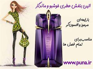 خرید عطر زنانه الین بنفش