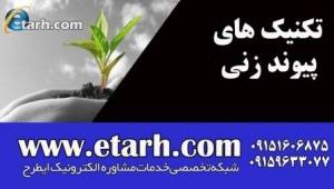 تکنیک های پیوند زنی