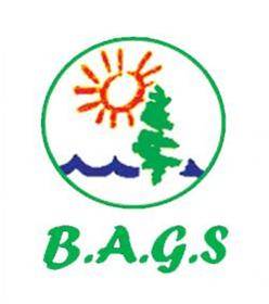 فروشگاه آبشن خودرو کرمان بگز B.A.G.S