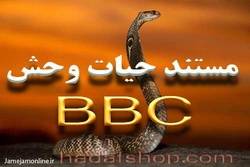 مجموعه جامع مستند حیات وحش BBC