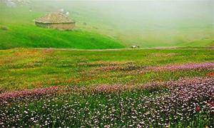 اجاره خانه مبله به مسافران در چالوس