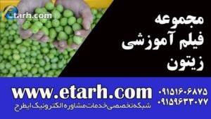 مجموعه فیلم آموزشی زیتون