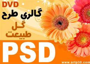 طرح گل و طبیعت PSD فتوشاپی