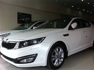 optima 2013