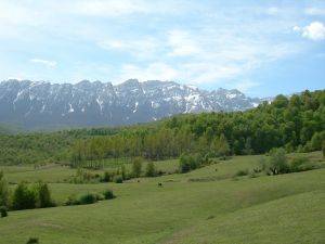 فروش خانه زمین ویلا در روستای سنگده