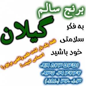 برنج گیلانی