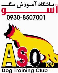 باشگاه تخصصی آسو k-9