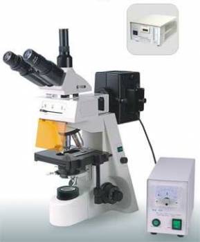 SE146Y Epi-Fluorescent Microscope