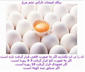 فروش تخم نطفه دار رسمی بومی