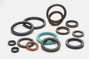 تولید کننده و پخش کننده تخصصی کاسه نمد (oil seal)