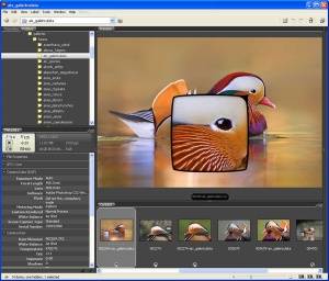 بزرگترین وب سایت آموزش Adobe Bridge در ایران