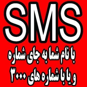 ارسال SMS منطقه ای،ارسال SMS برای مشاغل،ارسال SMS تبلیغاتی با شماره 3000