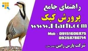 راهنمای جامع پرورش کبک + طرح توجیهی صورت مولتی مدیا