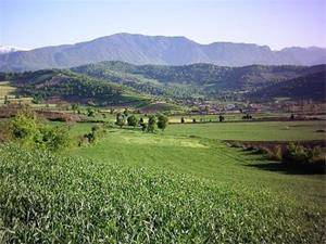 فروش مرغداری بهمراه زمین در توشن گرگان