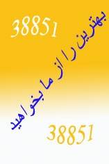 هرآنچه بخواهید اینجاست 38851