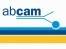 abcam in Iran,Abcam - antibodies and reagents supplier, find any antibody,abcam in Iran,Abcam - antibodies and reagents supplier, find any antibody,ab