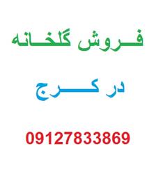 فروش گلخانه در استان البرز کرج