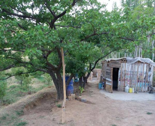 واقع در روستای نشوه