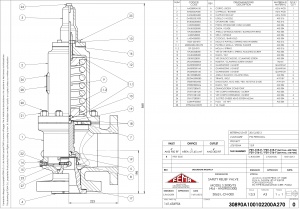 Safety Relief Valve