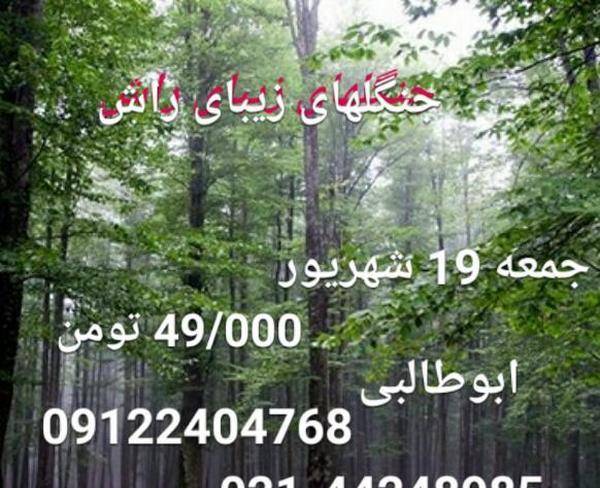 تور یک روزه جنگلهای راش (سوادکوه)