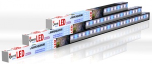 LED مخصوص آکواریوم آب شور