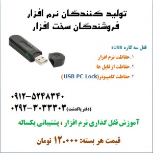 قفل امنیتی حفاظت از نرم افزار