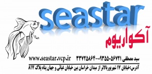 اکواریوم ستاره دریا