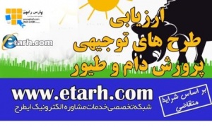 تهیه طرح توجیهی پرورش شترمرغ