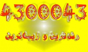 رندترین و زیباترین 912 کد 4