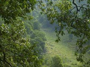 فروش زمین در شمال - رشت