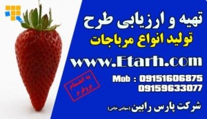 ارزیابی طرح توجیهی انواع مربا