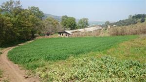 فروش یک قواره 1700 متری در روستای توشن گرگان