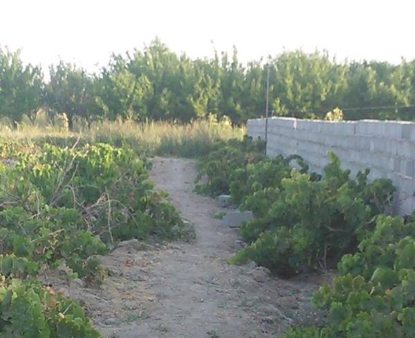 فروش باغ -اردوشاهی جاده سنتو