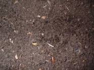 خرید کرم vermicompost