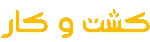 کفکش دیانا