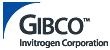 , Invitrogen Gibco in IRAN , Invitrogen Gibco in IRAN , Invitrogen Gibco in IRAN , Invitrogen Gibco in IRAN , Invitrogen Gibco in IRAN , Invitrogen G