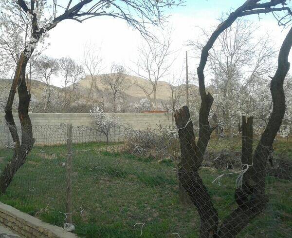 باغ در روستای کله(کمال الملک)